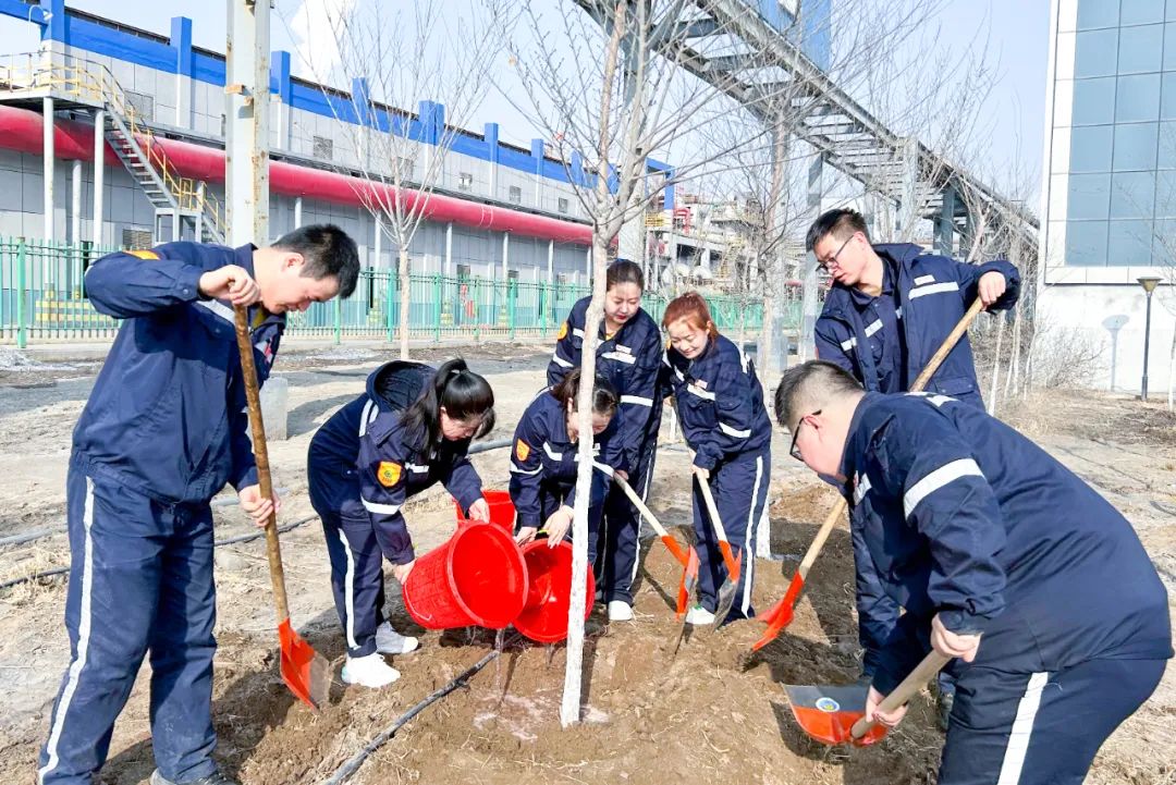 “植”此青綠共“樹(shù)”未來(lái)！集團(tuán)各公司開(kāi)展植樹(shù)活動(dòng)(圖19)